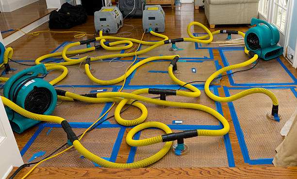Professional Water Damage Repair technician working in Palisades, WA